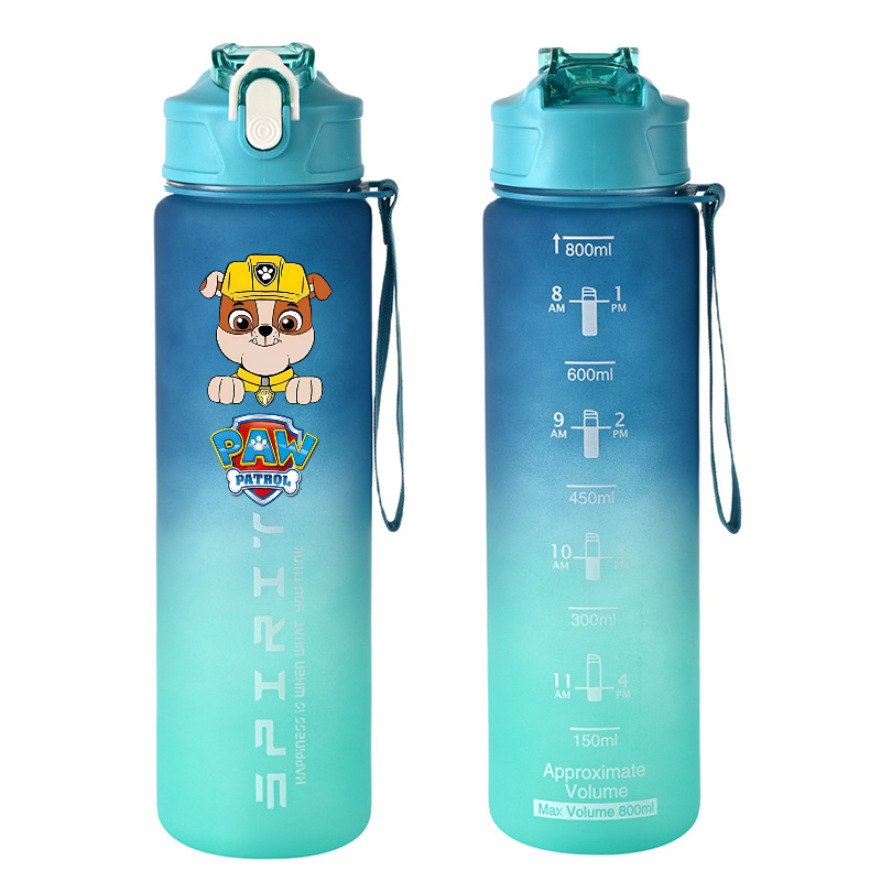 800ml PAW Patrol Sport Bottigl - Kids Outdoor Movies recensione e prezzo