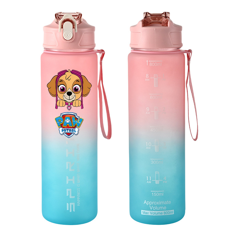 800ml PAW Patrol Sport Bottigl - Kids Outdoor Movies recensione e prezzo