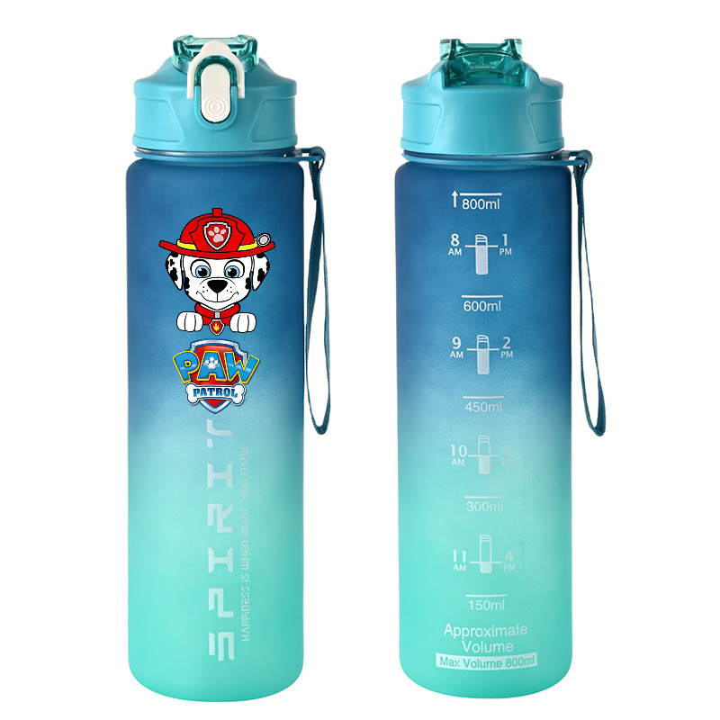 800ml PAW Patrol Sport Bottigl - Kids Outdoor Movies recensione e prezzo